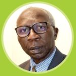 SILENT GUARDIANS: The Unremarked Role of IT Auditors
